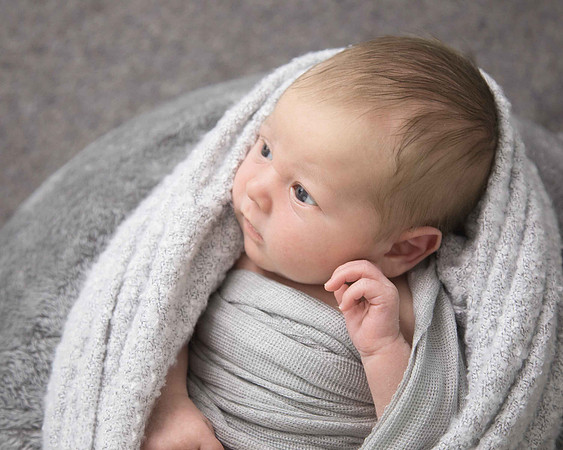 Newborn baby boy in grey in posie