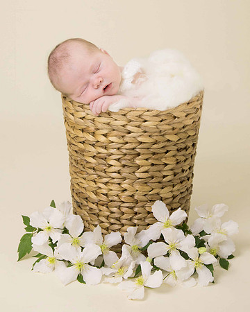 Newborn baby in basket with clematis